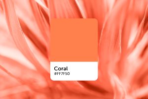 coral color