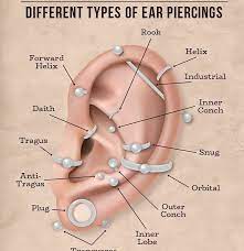 ear piercing chart