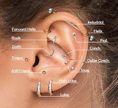 Understanding Types of Ear Piercing: An Illustrated Guide