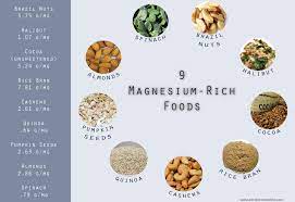 foods high in magnesium