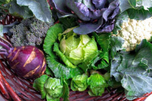Cruciferous Vegetables 6