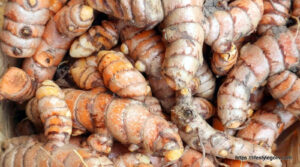 Turmeric 4
