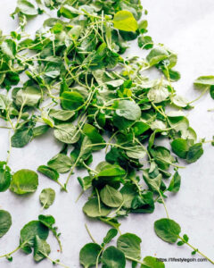 Watercress 4
