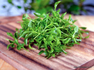 Watercress: The Nutrient-Dense Superfood and Its Health Benefits