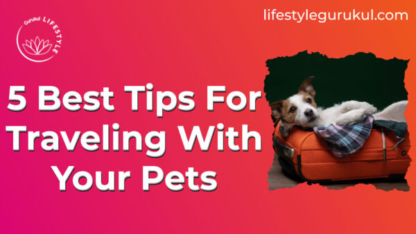 5 Best Tips For Traveling With Your Pets 5 Best Tips For Traveling With Your Pets